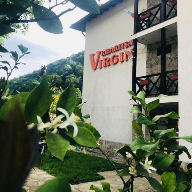 Family Hotel Virgin 里巴里卡 外观 照片